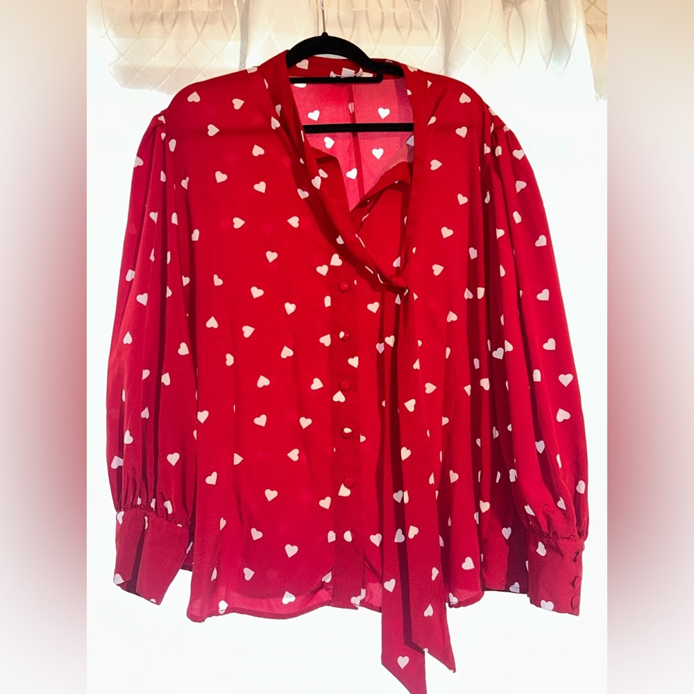 Unique Vintage Red Puff Sleeve Blouse with Tie Front